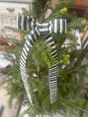 Olive Green & White Bows